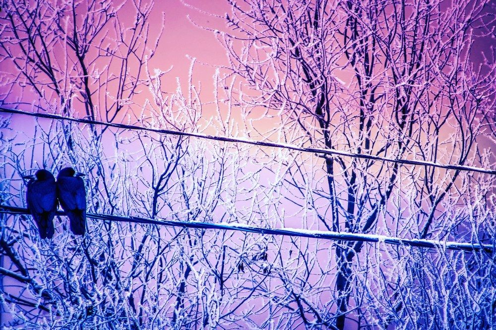 Вместе навсегда