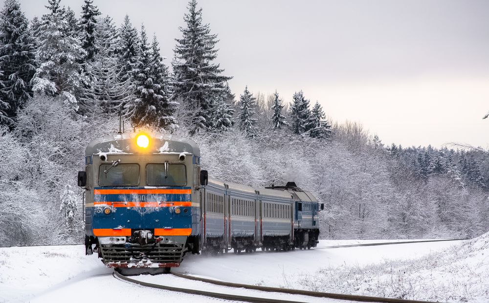 Train in winter forest