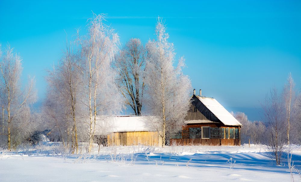 Дом на опушке зимней деревни