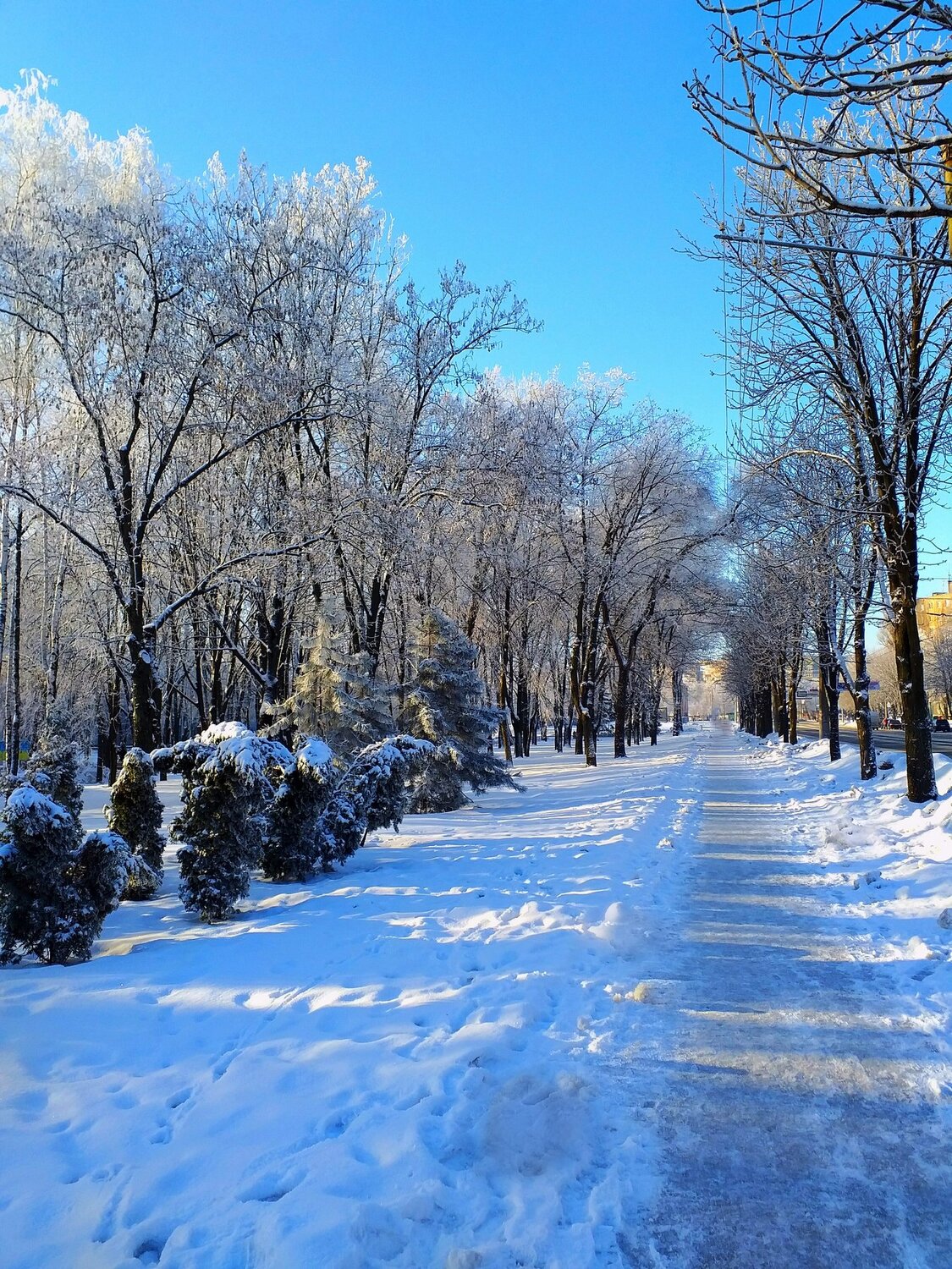Морозное утро бывает прекрасным