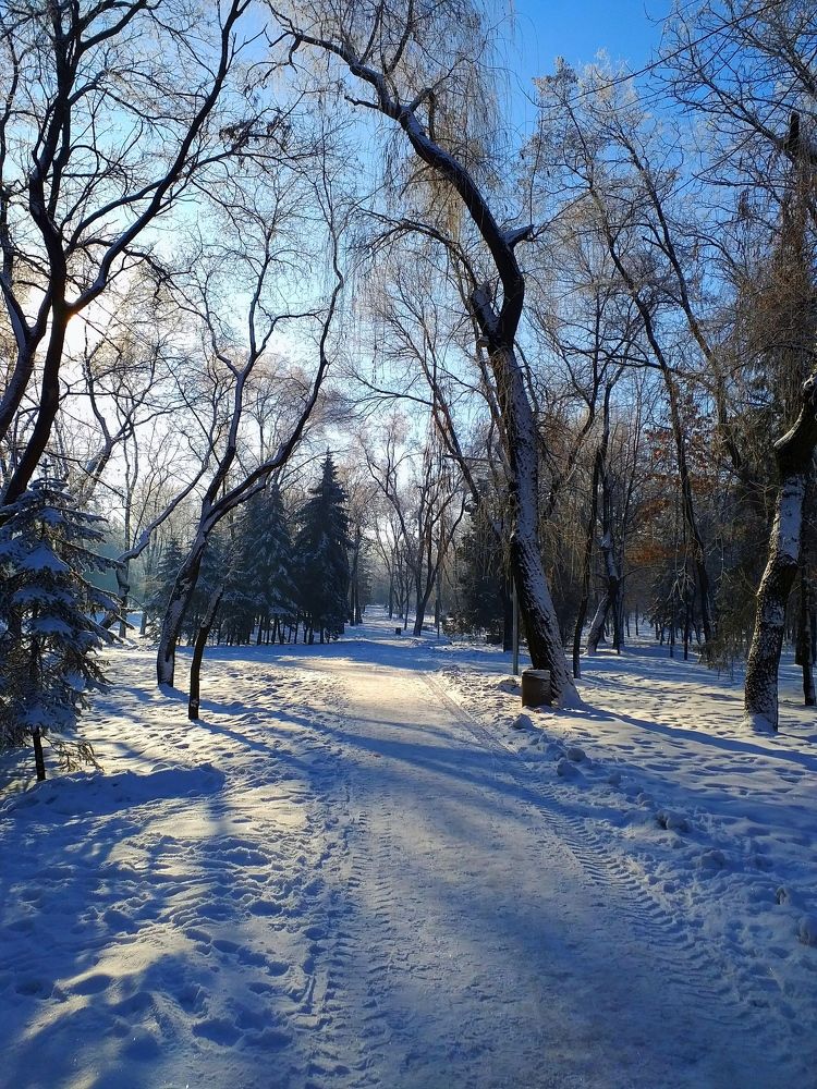 Photo #2943213