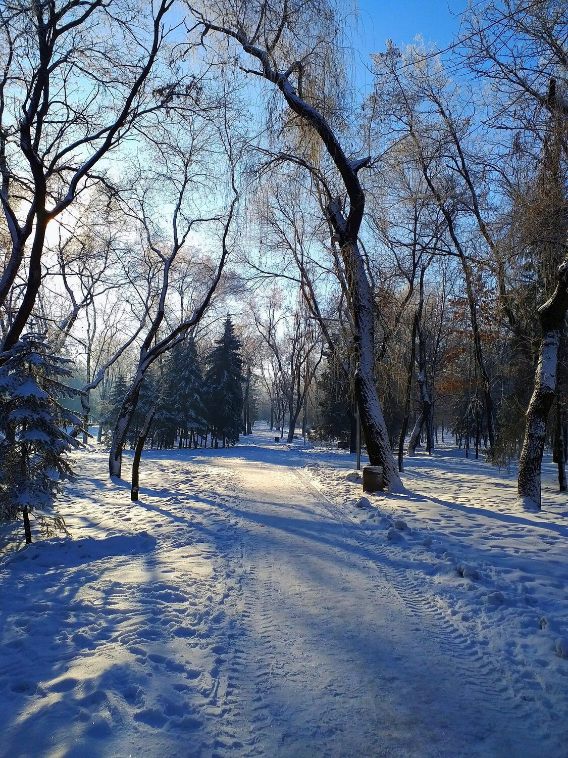 Photo #2943213