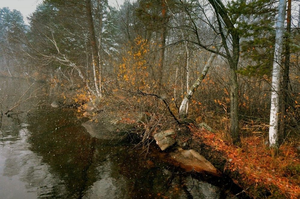 Боровое.  Осень