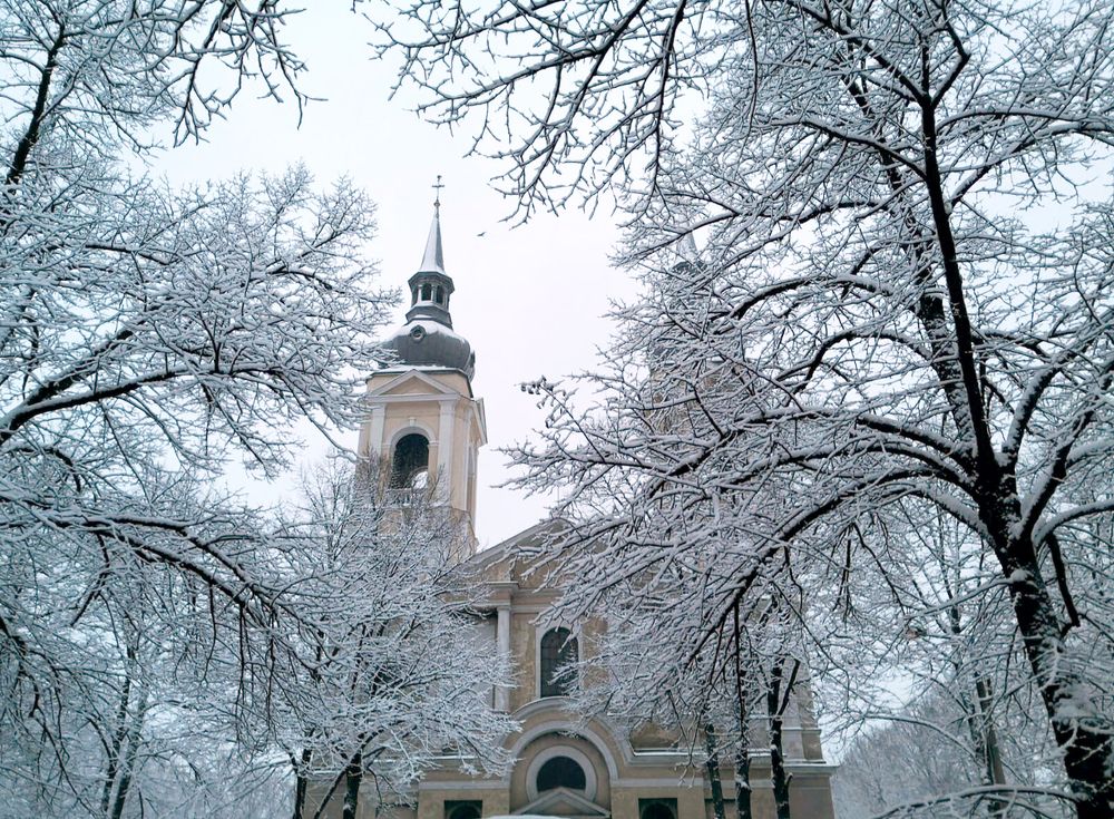 Снежная зима