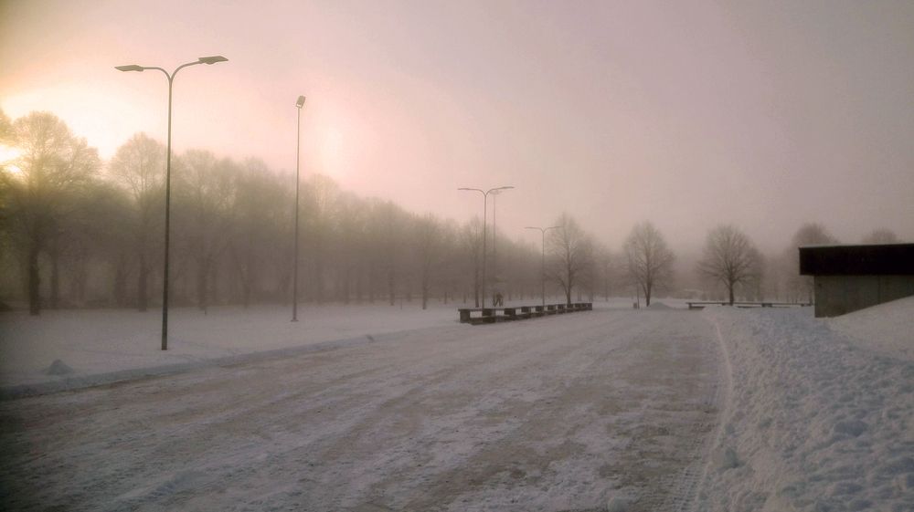 Зимний рассвет