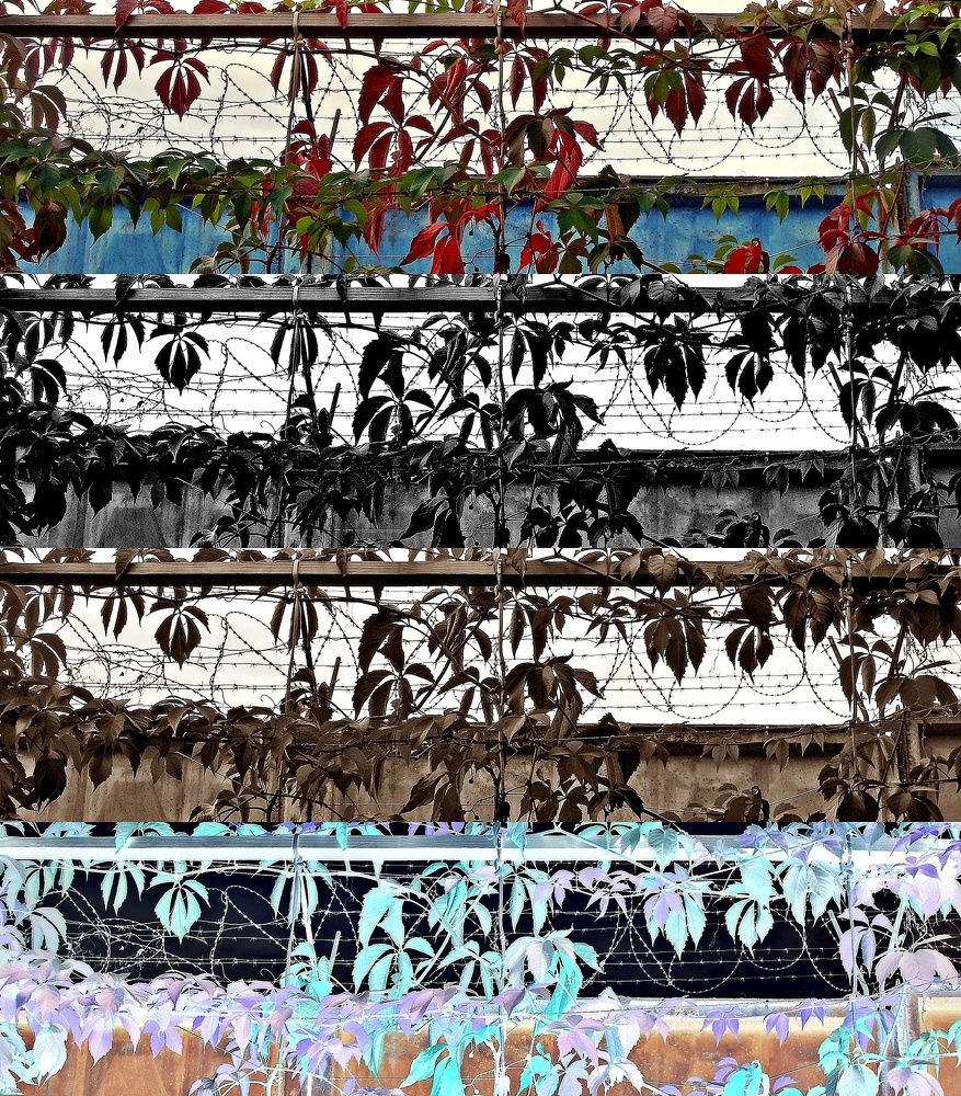 Photograph by Воропаева Юлия