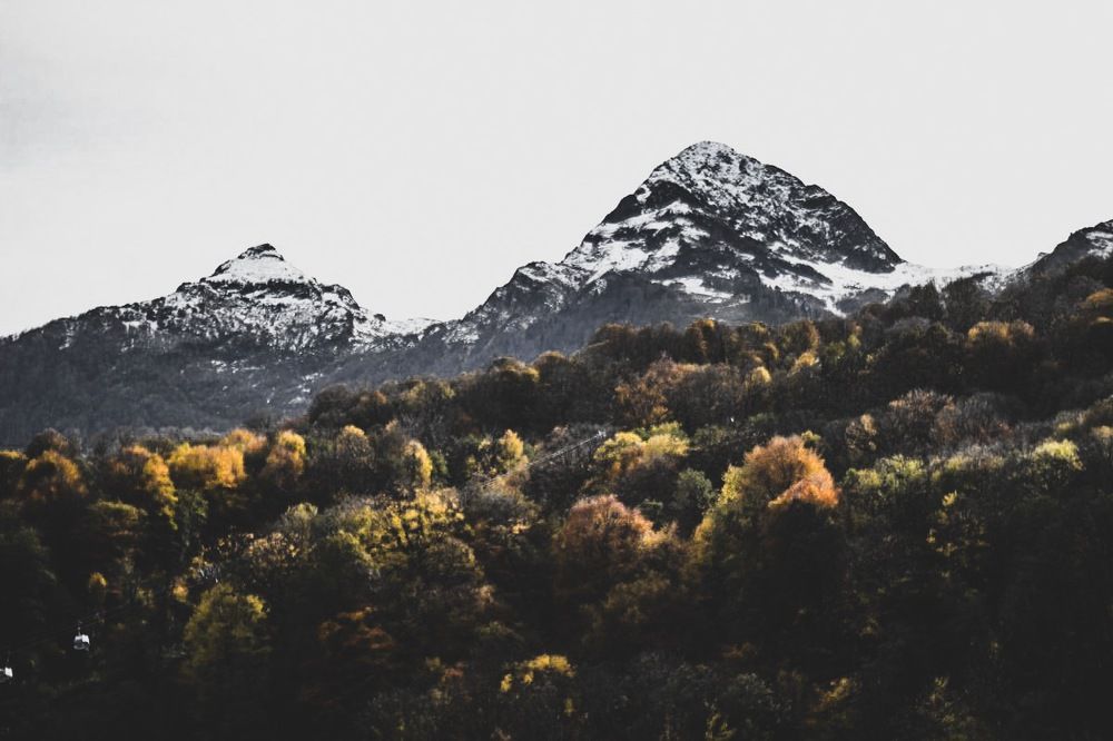 Контраст снежных гор с лесом