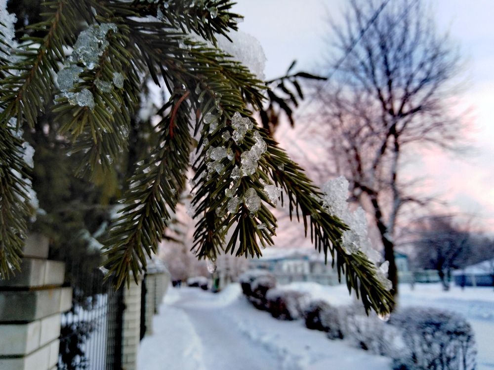 Фотография автора Арканникова Настя