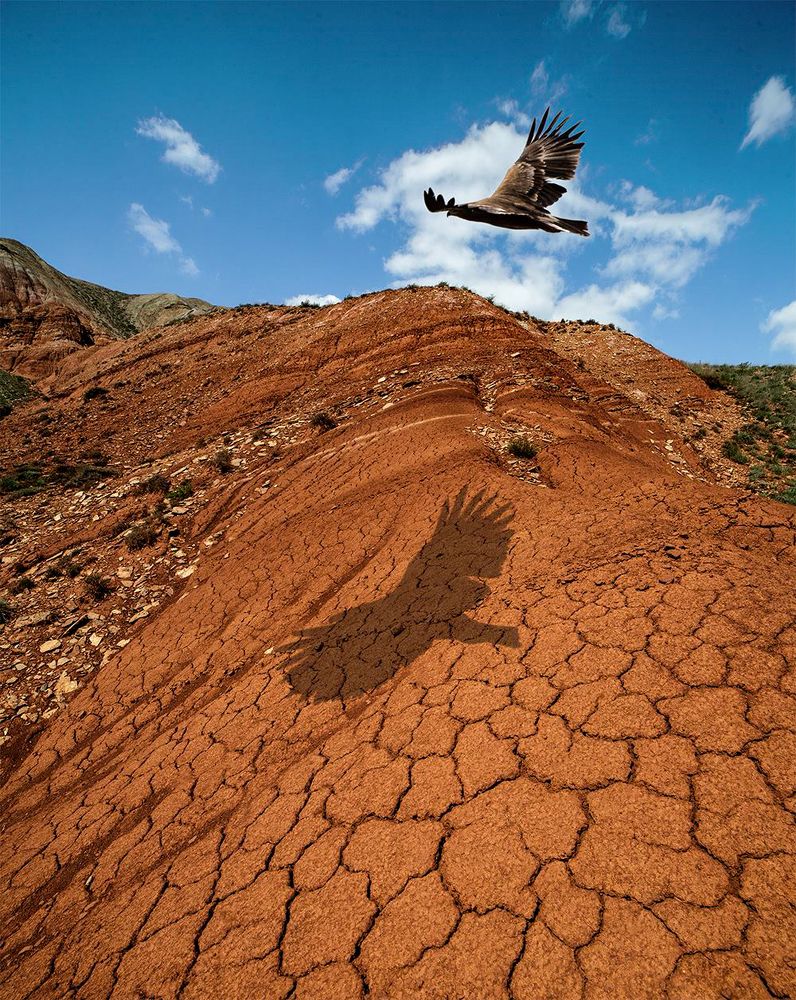 Обгоняя тень.