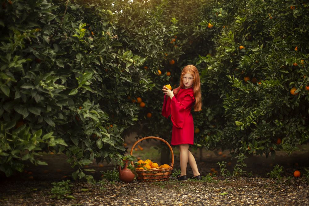 Апельсиновый сад