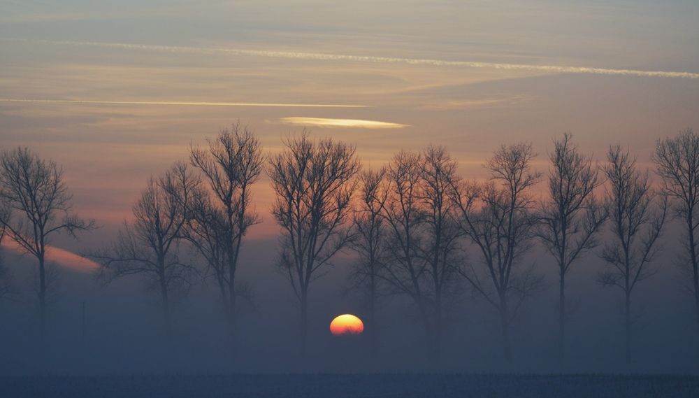 Wildlife, eastern Europe
