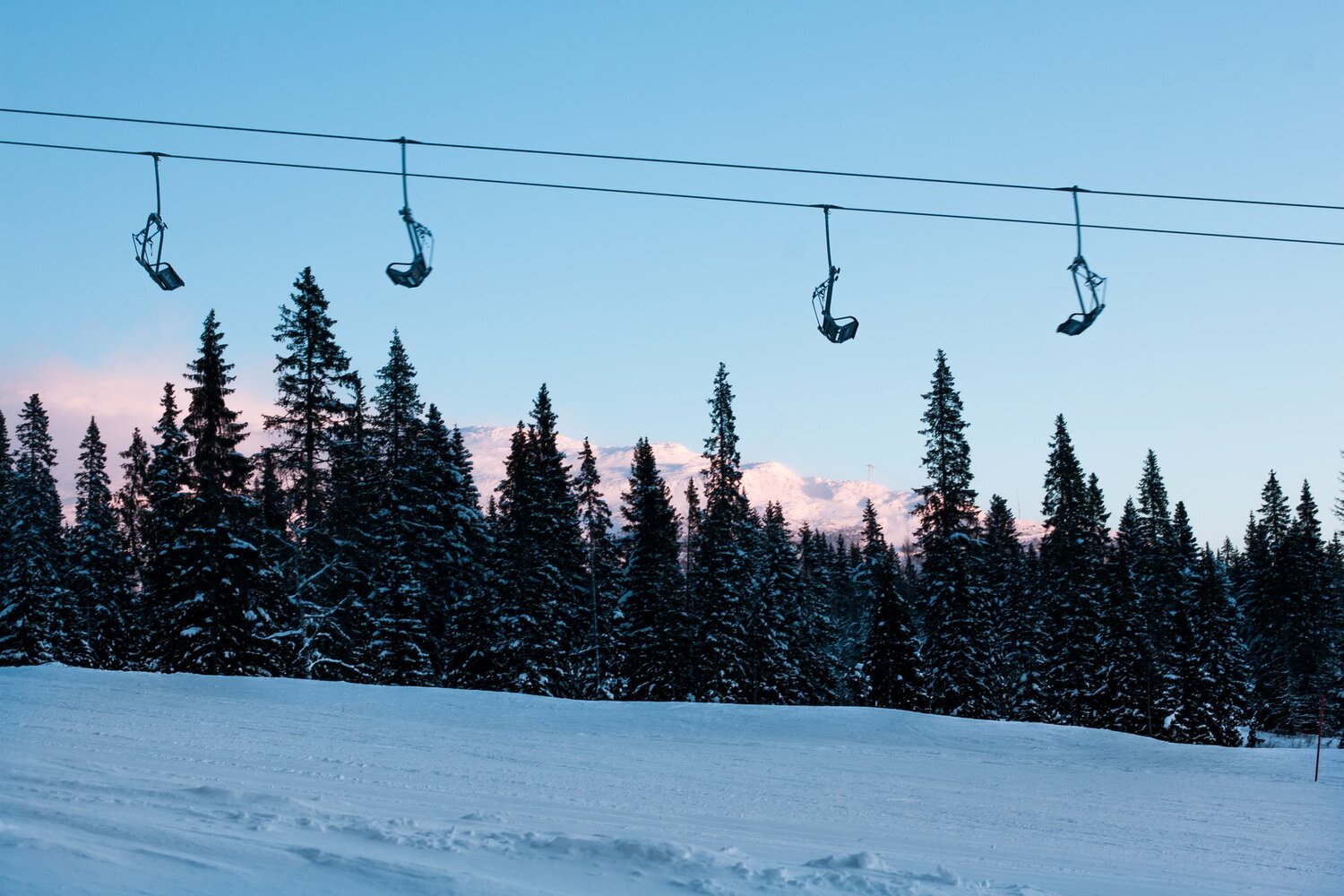 Photo #2943646