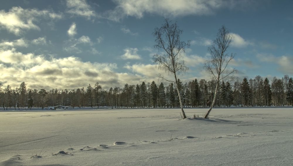 Photograph by Петрушин Сергей