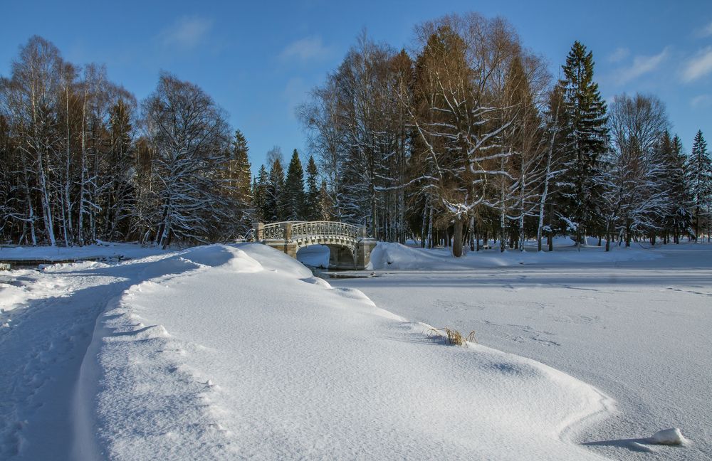 Photograph by Петрушин Сергей