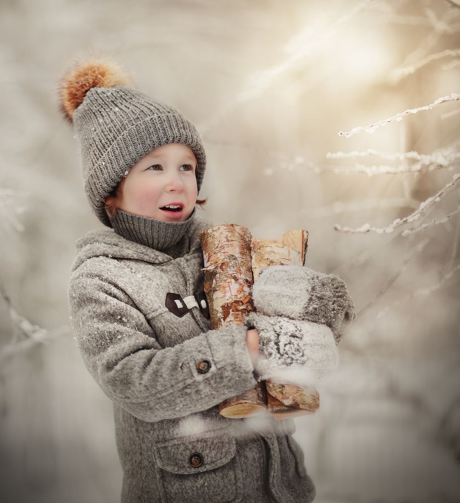 Я за дровишками