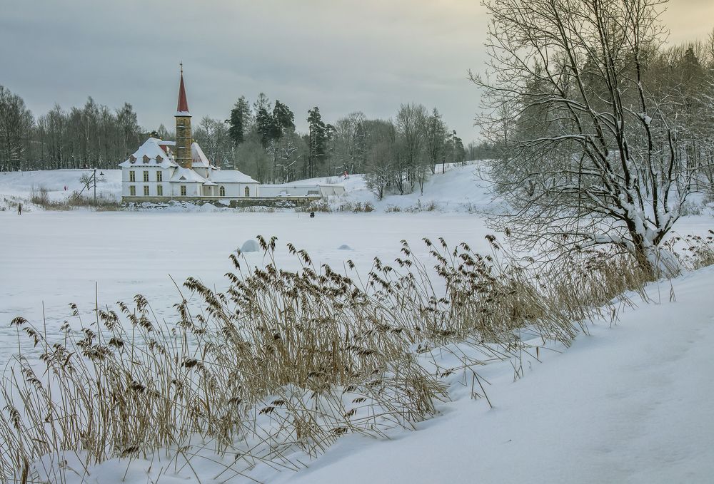 Photograph by Петрушин Сергей