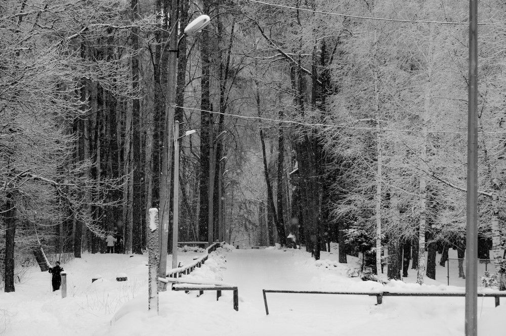 Photograph by Игорь Медянцев