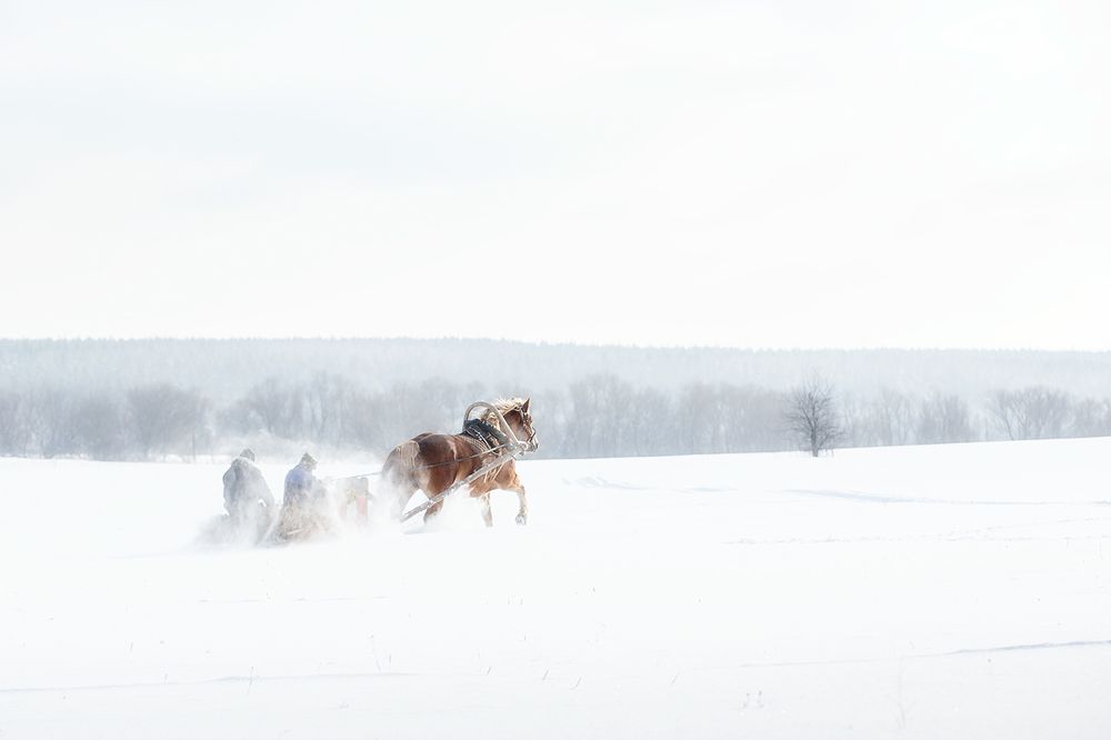 Эх вы, сани,мои сани!