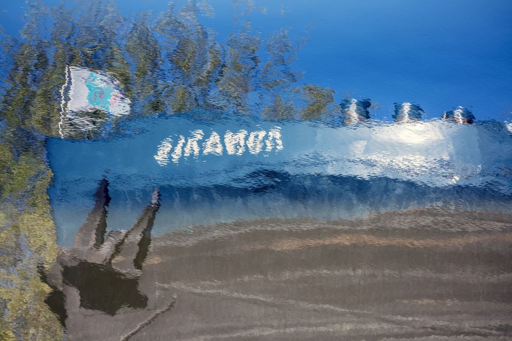 Призрак революции