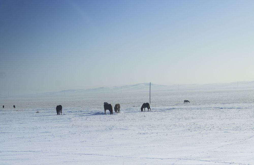 Степи Казахстана