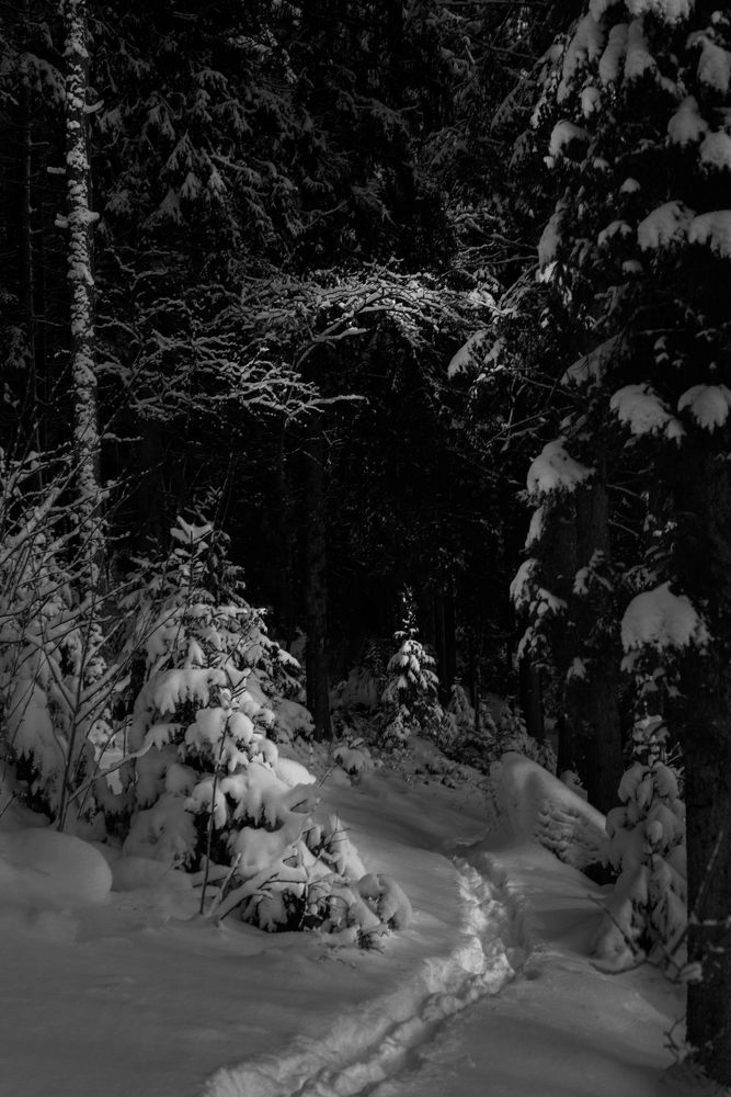 Зимняя сказка