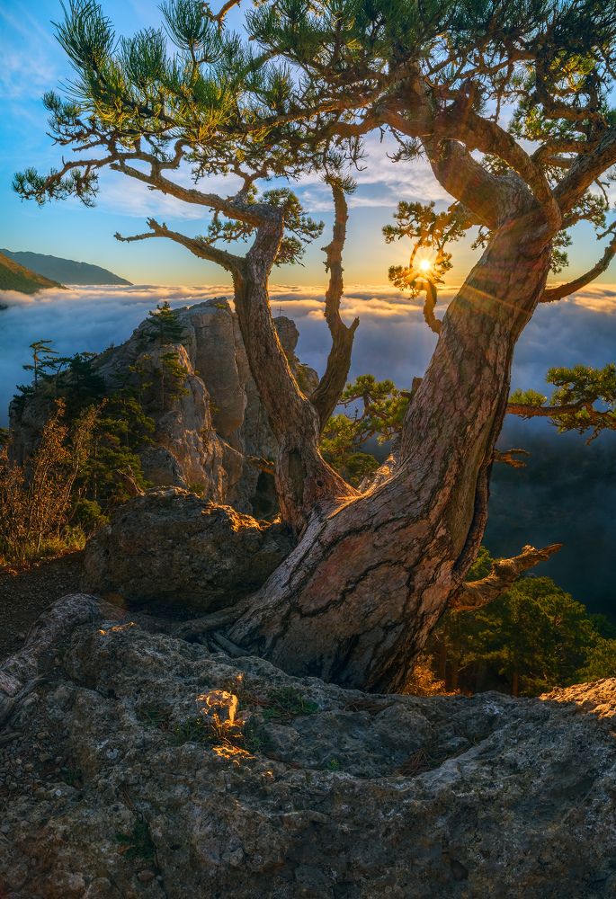 Утро над облаками