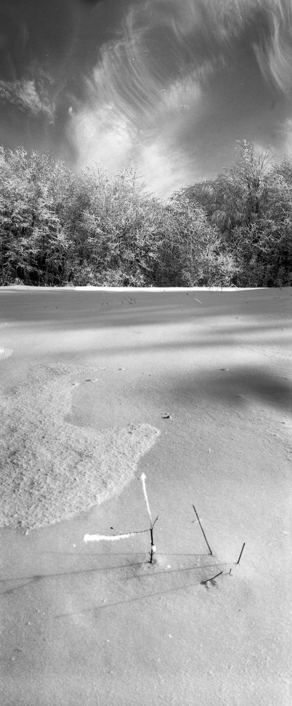 Игольчатая изморозь в преддверие зимы