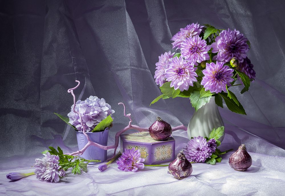 В сиреневых тонах