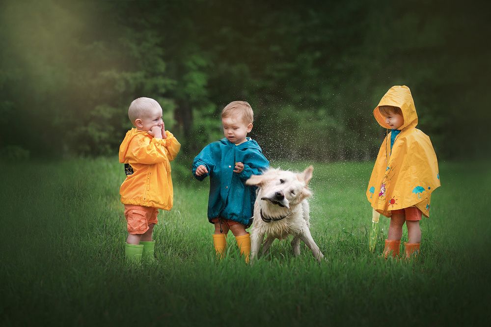 Фотография автора  Анастасия