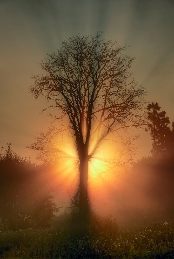 Половина шестого утра