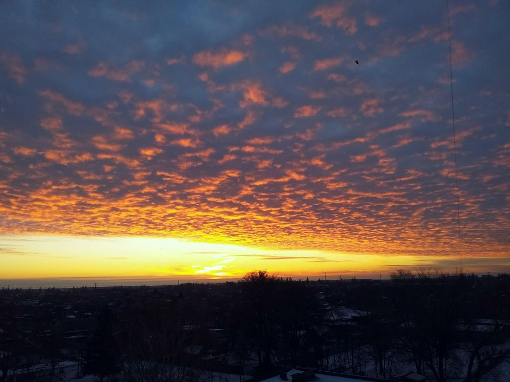 Photo #2944118