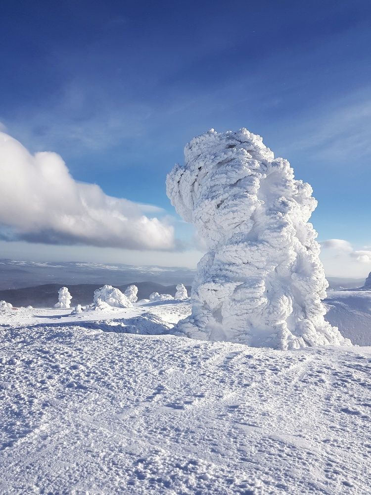 Photograph by Marcin Sokolowski - maarew