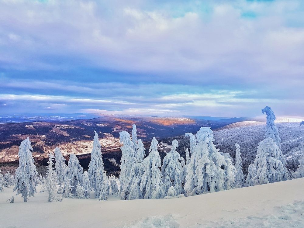 Photograph by Marcin Sokolowski - maarew