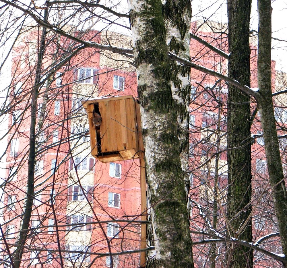 Photograph by Воропаева Юлия