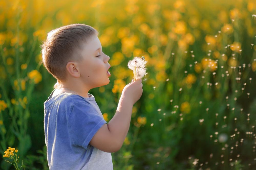 Гога. Пусть всё сбудется!