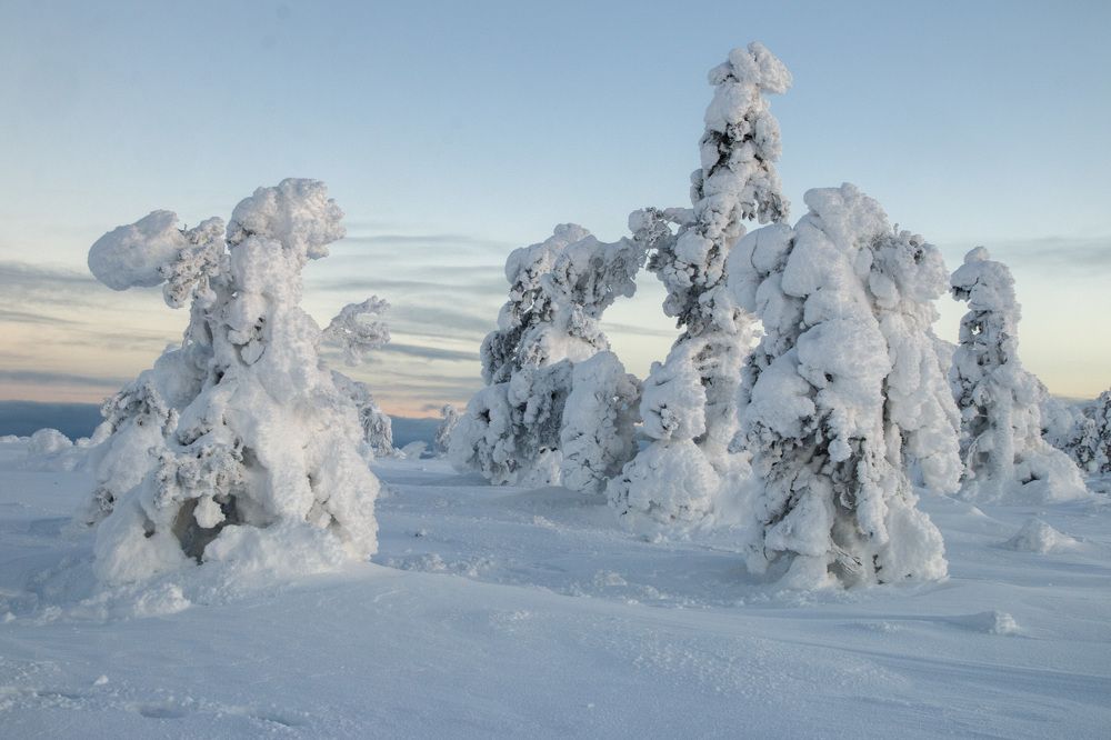 Парк Юркского периода