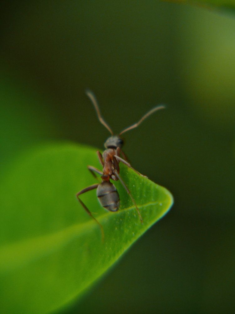 В поисках работы.
