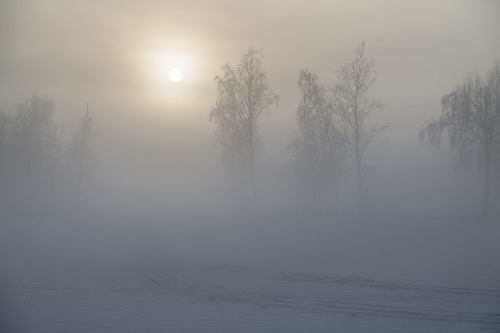 Скользя по утреннему снегу, Друг милый, предадимся бегу