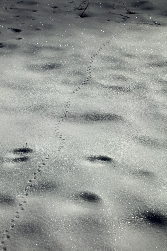 Скоро весна!