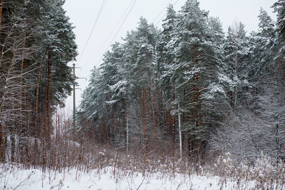 Photograph by Ирина Хромова