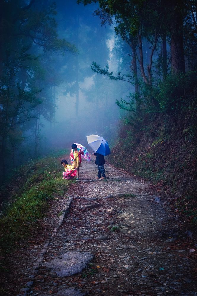 The greatest gifts you can give your children are the roots of responsibility and the wings of independence.