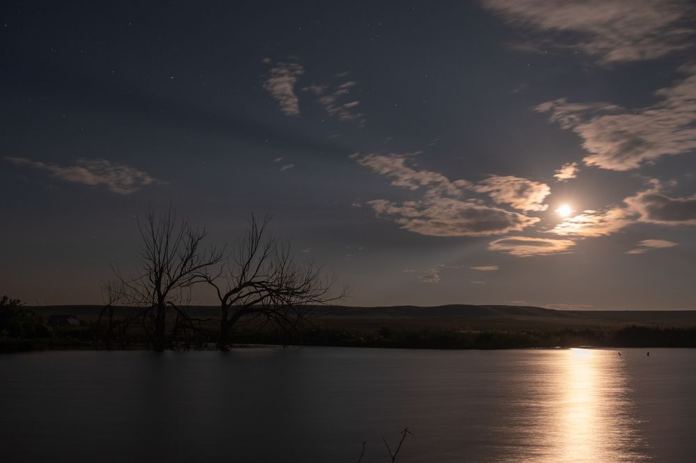 Night sun. Ночное солнце.