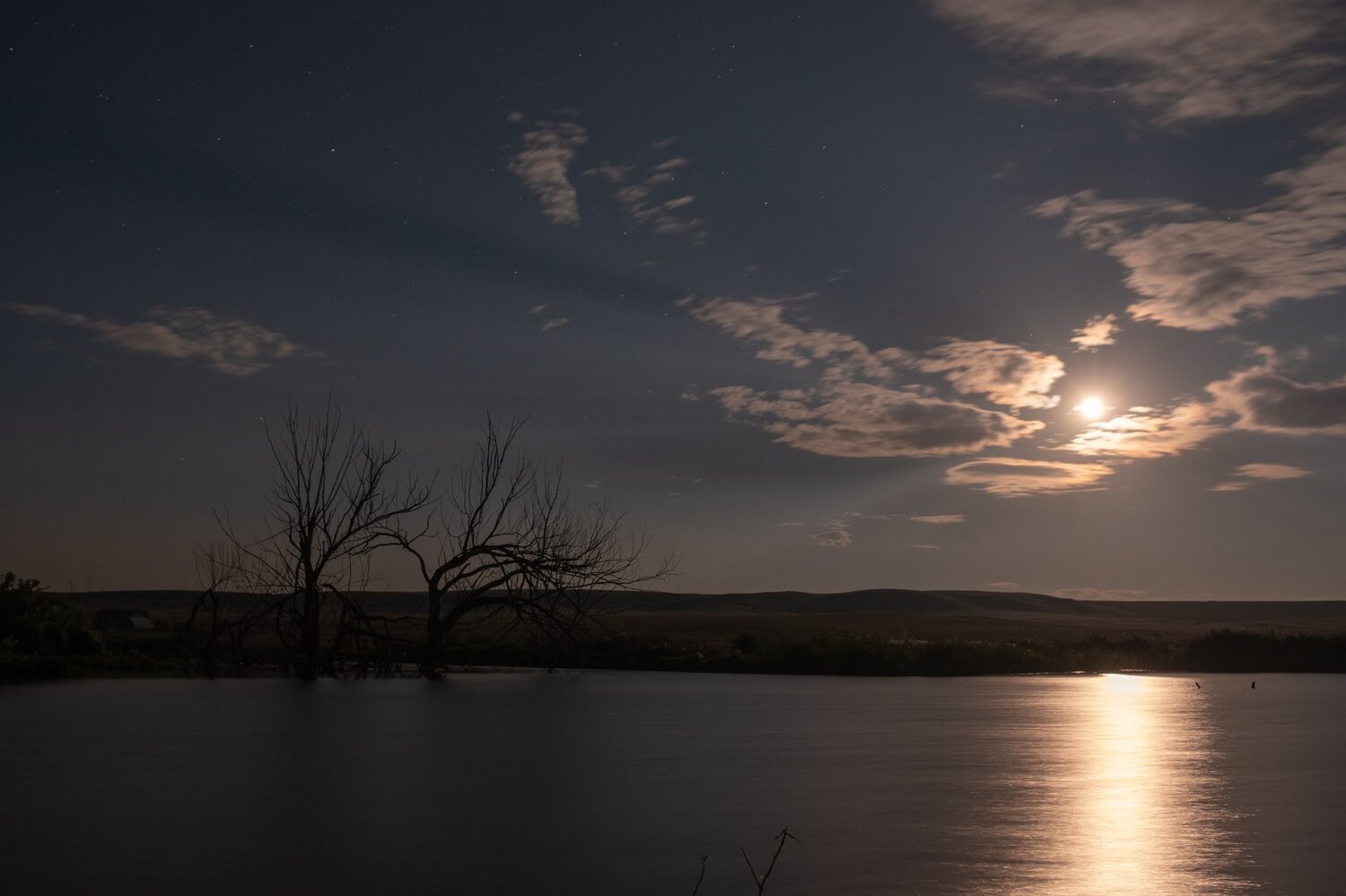 Night sun. Ночное солнце.