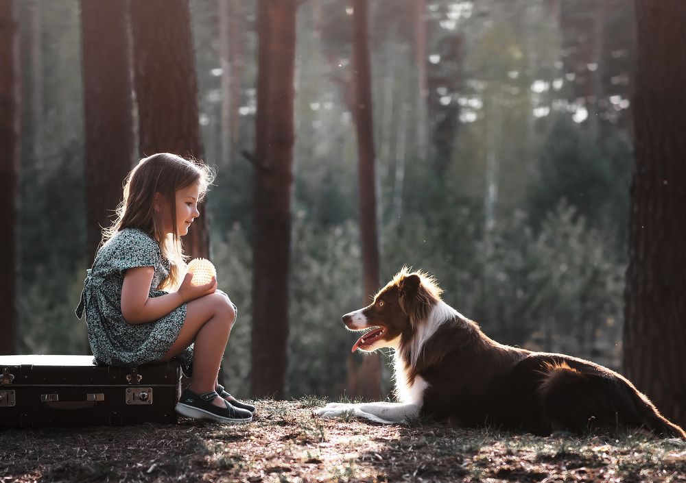 А теперь в Простоквашино!