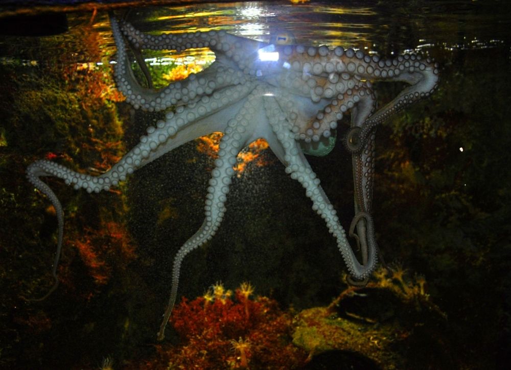 Photograph by Худякова Светлана Викторовна