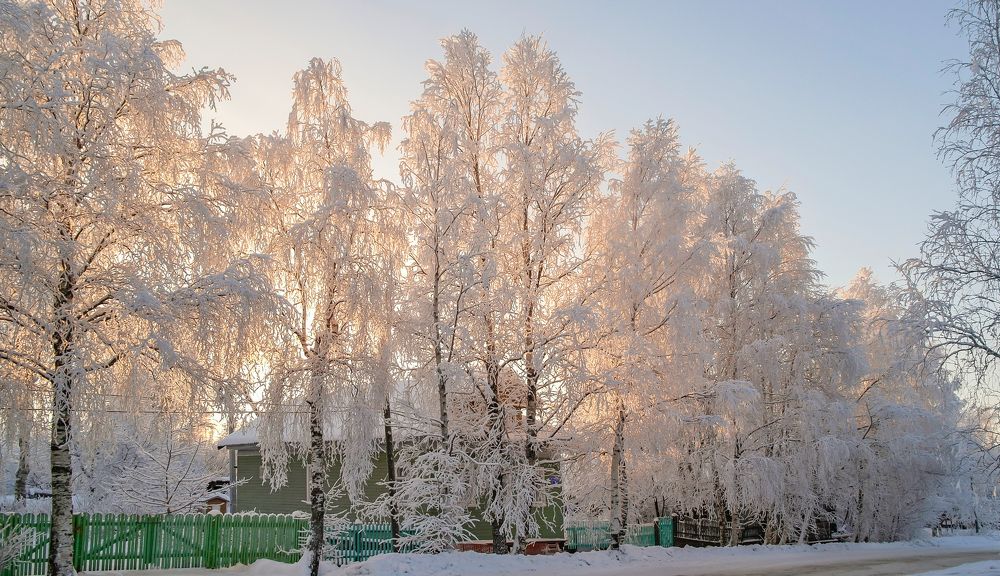 Русская зима в селе