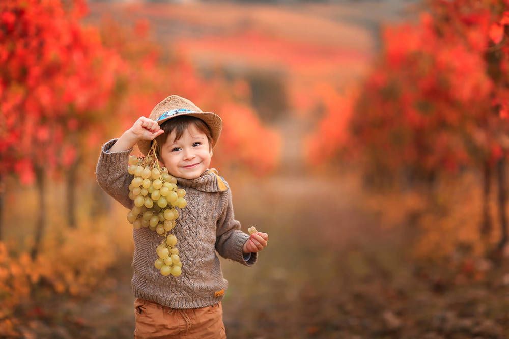 Photograph by Yulia Laterza