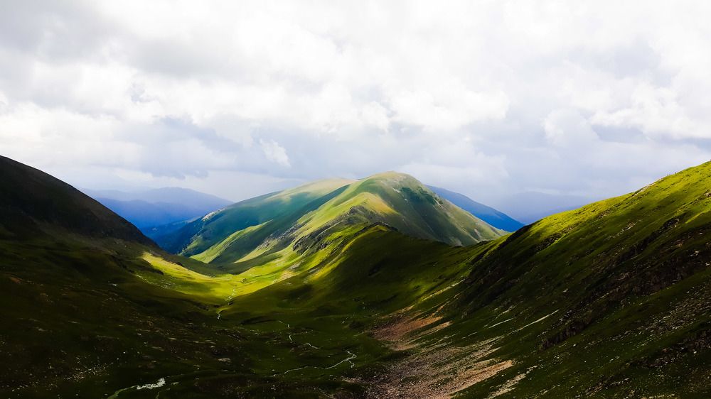 Photograph by Gabi Lou