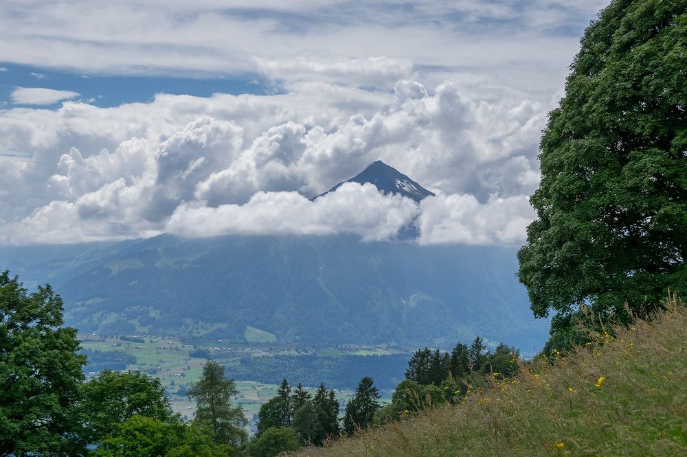 Фотография автора Андрей Симонов