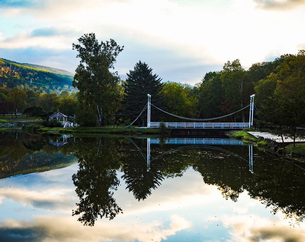 В зеркале воды